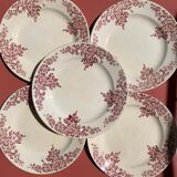 Set of 5 flat plates Iron Earth