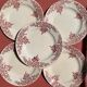 Set de 5 assiettes plates Terre de  Fer