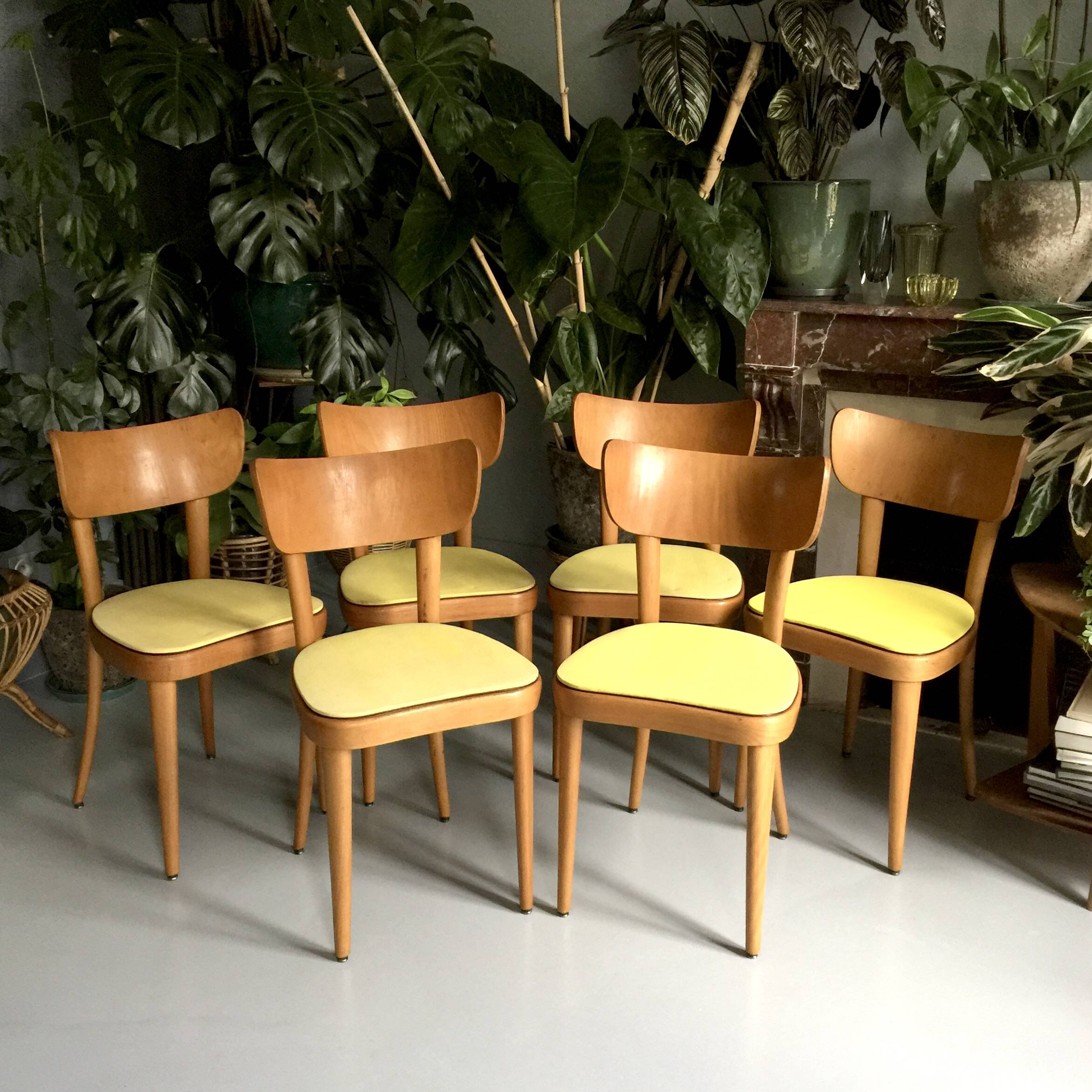 6 yellow and wood Thonet chairs
