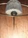 Glass chandelier and gilded metal 50s