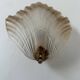 Pair of shell wall lights, glass and brass, France 1960