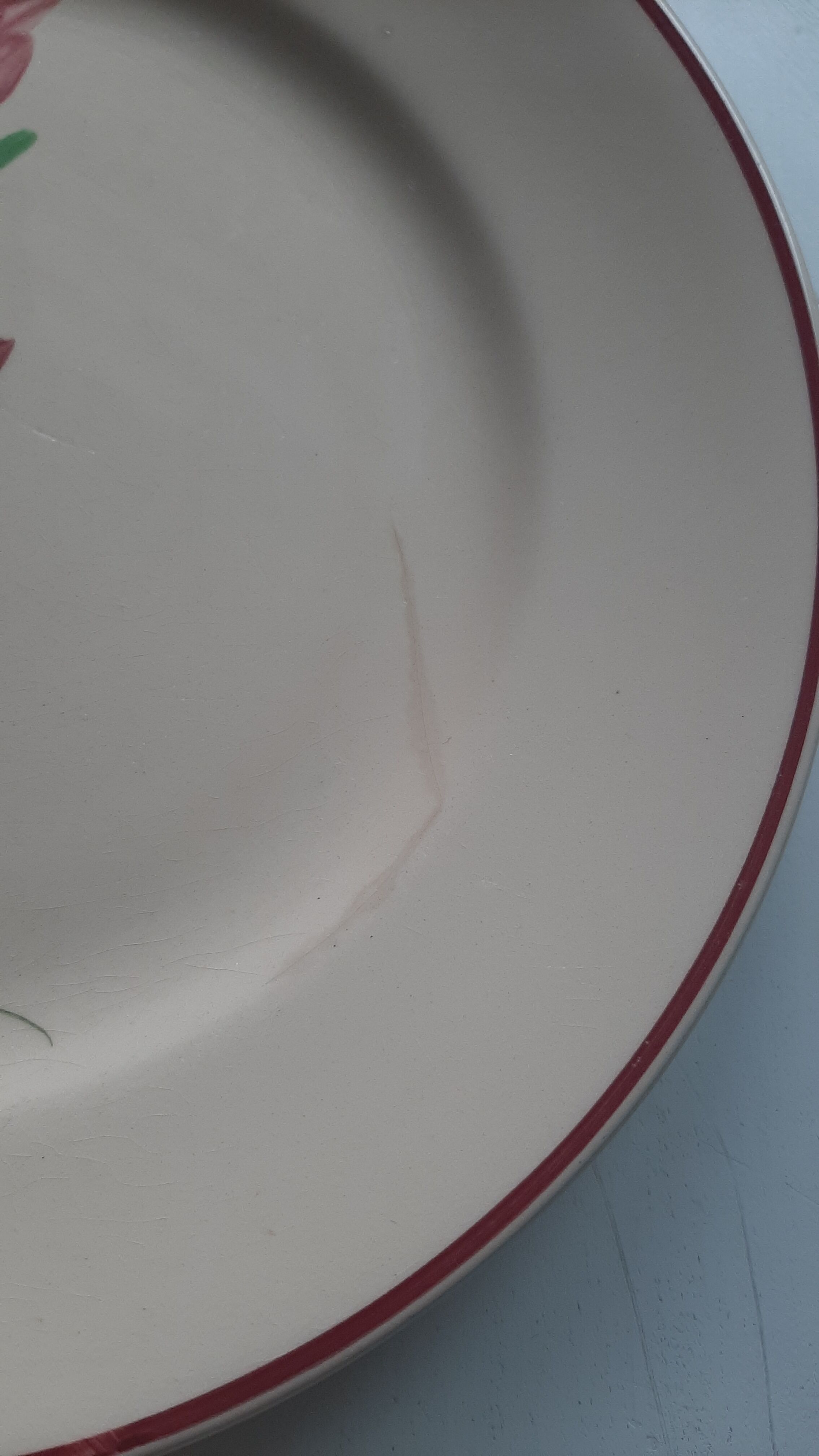 Longchamp earthenware plates