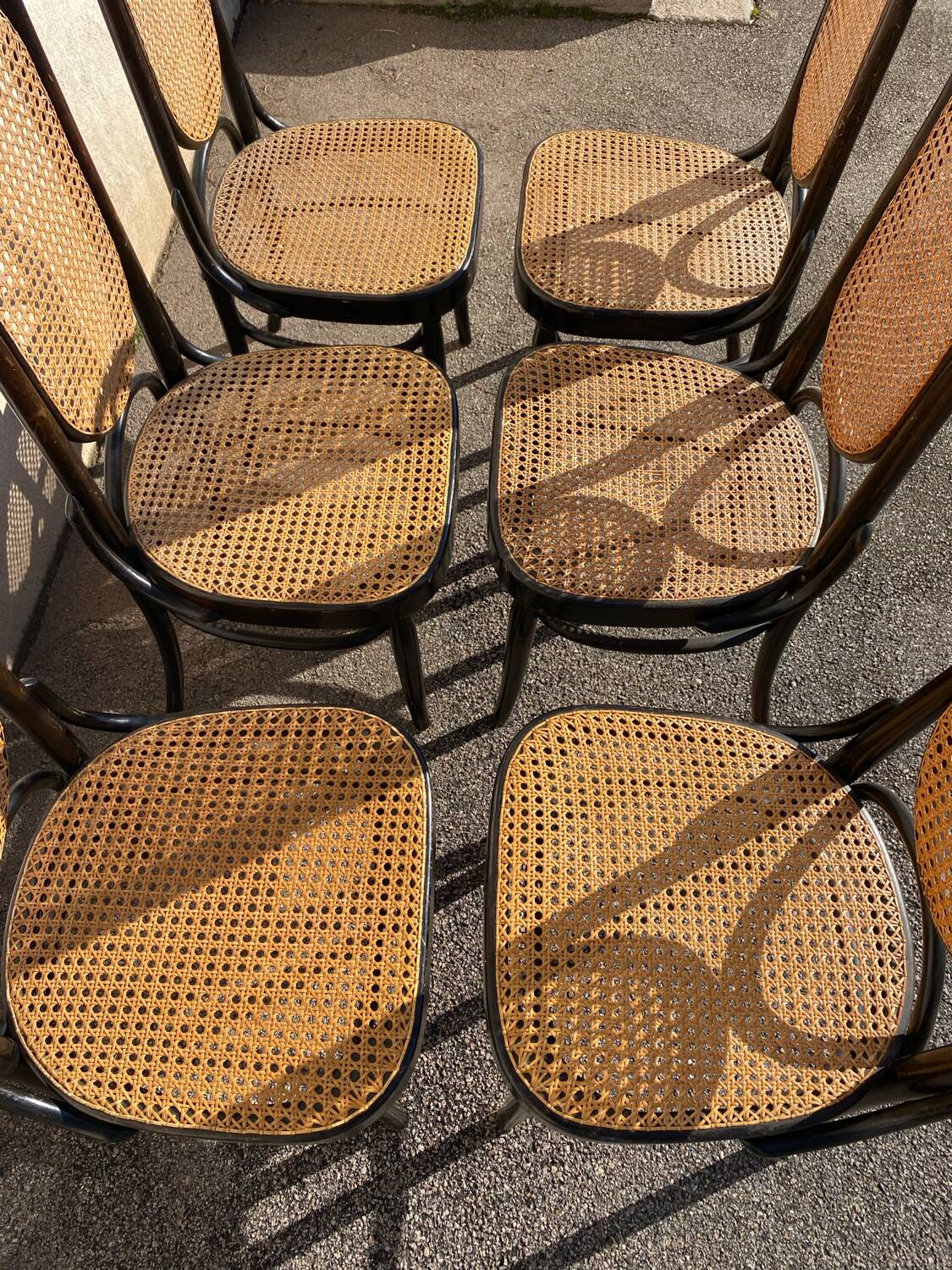 Set of 6 Salvatore Leone chairs