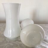 Double opaline vases