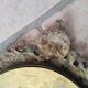 Pair of antique witch mirrors, curved glass, bronze frame