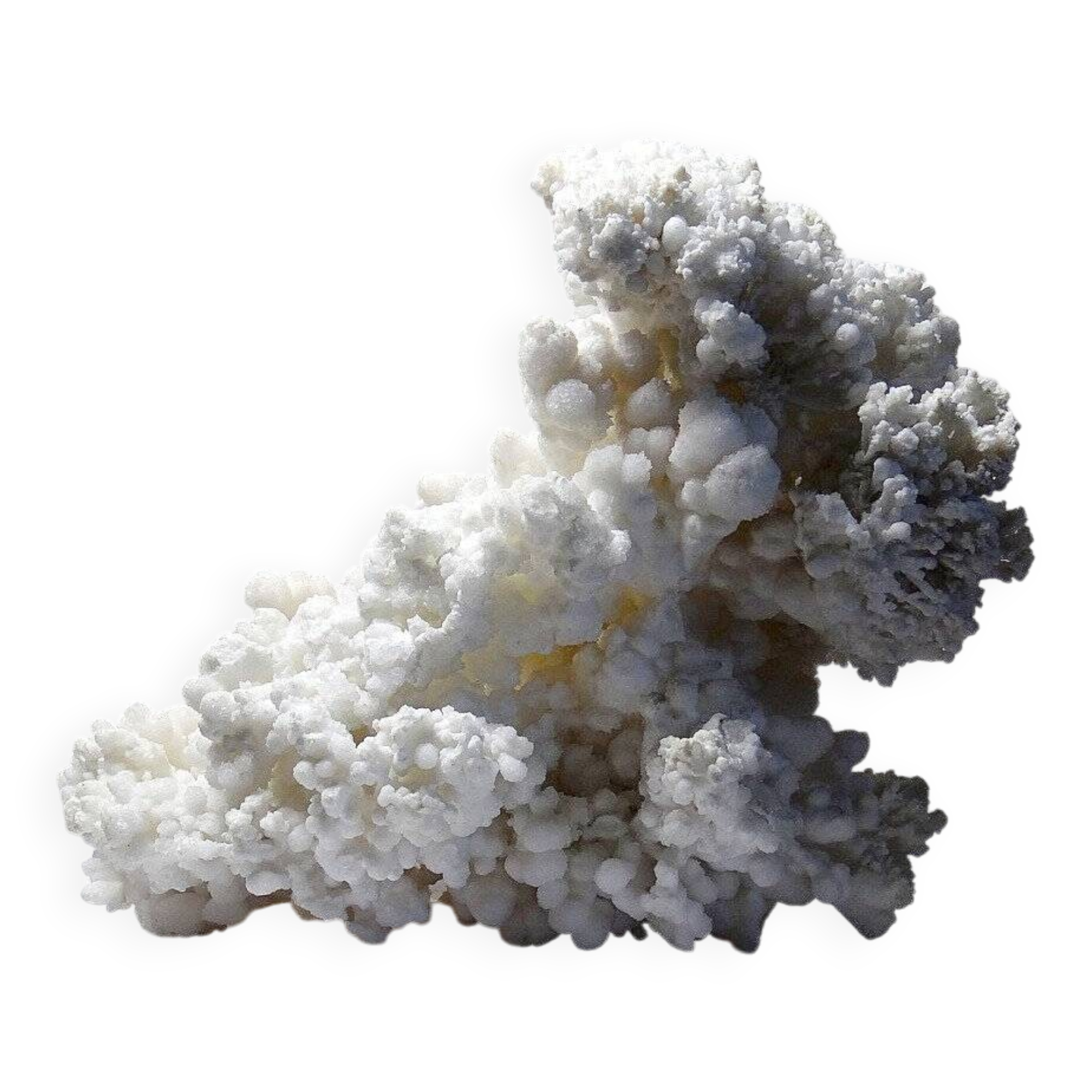 Collection minérale ancien spécimen d'aragonite blanche du Mexique +3,2kg