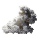 Collection minérale ancien spécimen d'aragonite blanche du Mexique +3,2kg
