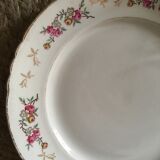 Red and green old flat plates