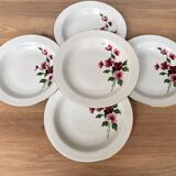 Set of 5 hollow porcelain plates