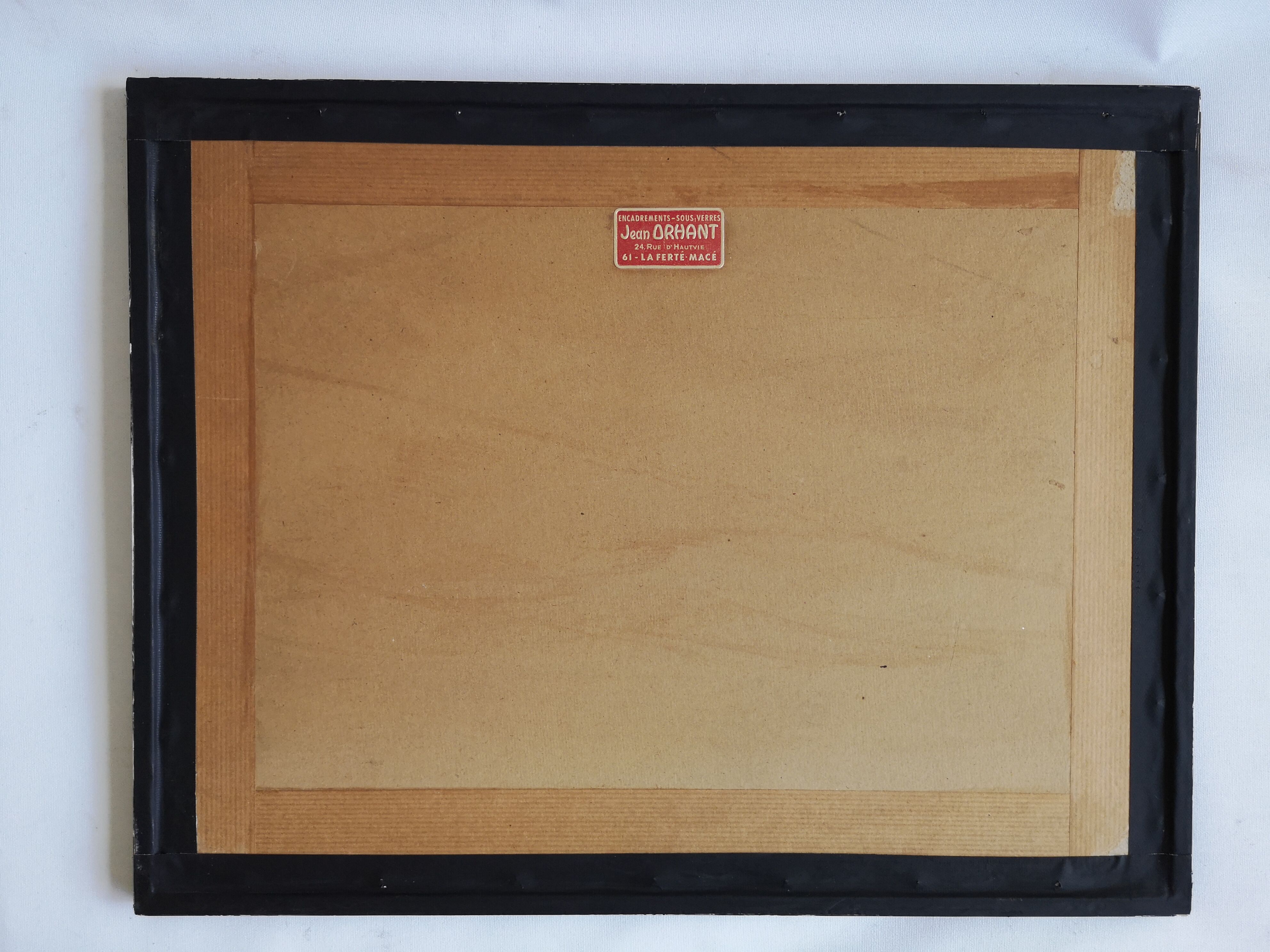 Framed botanical poster "Millet, rice, corn"