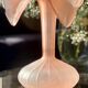 Vase Leonardo en verre dépoli rose