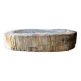 Coupe en bois pétrifié