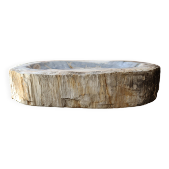 Coupe en bois pétrifié