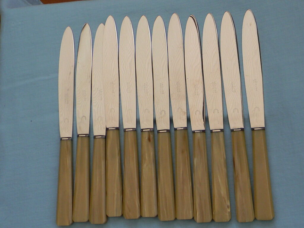 Lot de 12 couteaux lame inox