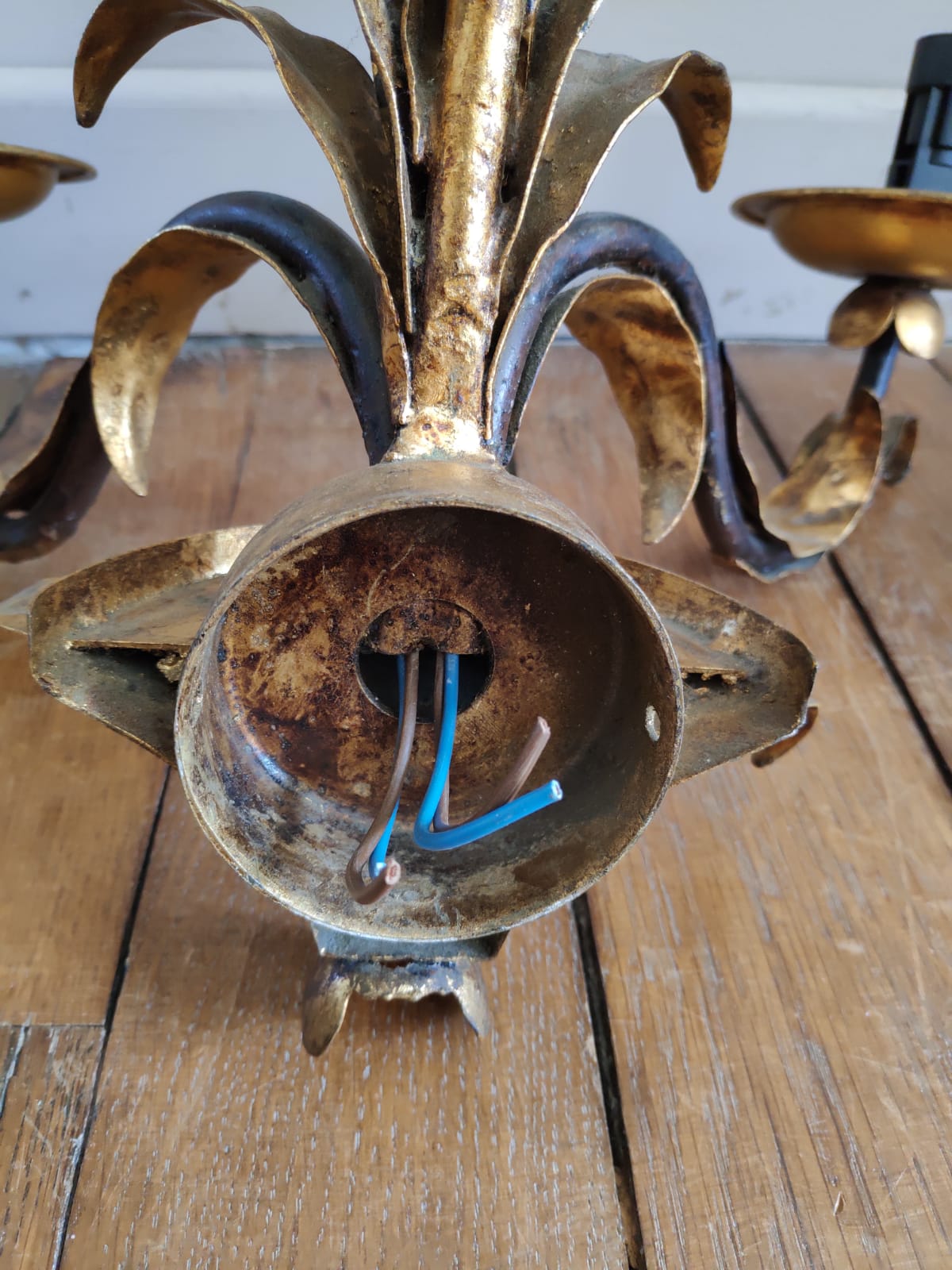 Lamp  wall light palm