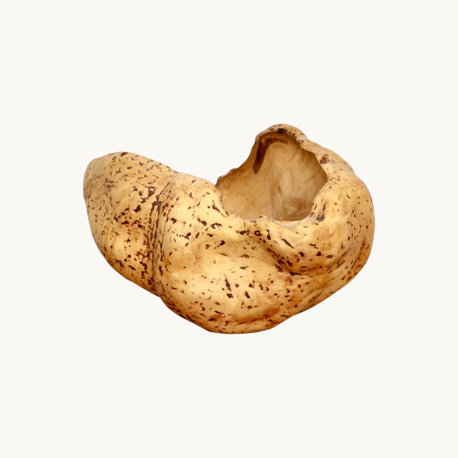 An elm magnifying glass, Sweden 1970s.