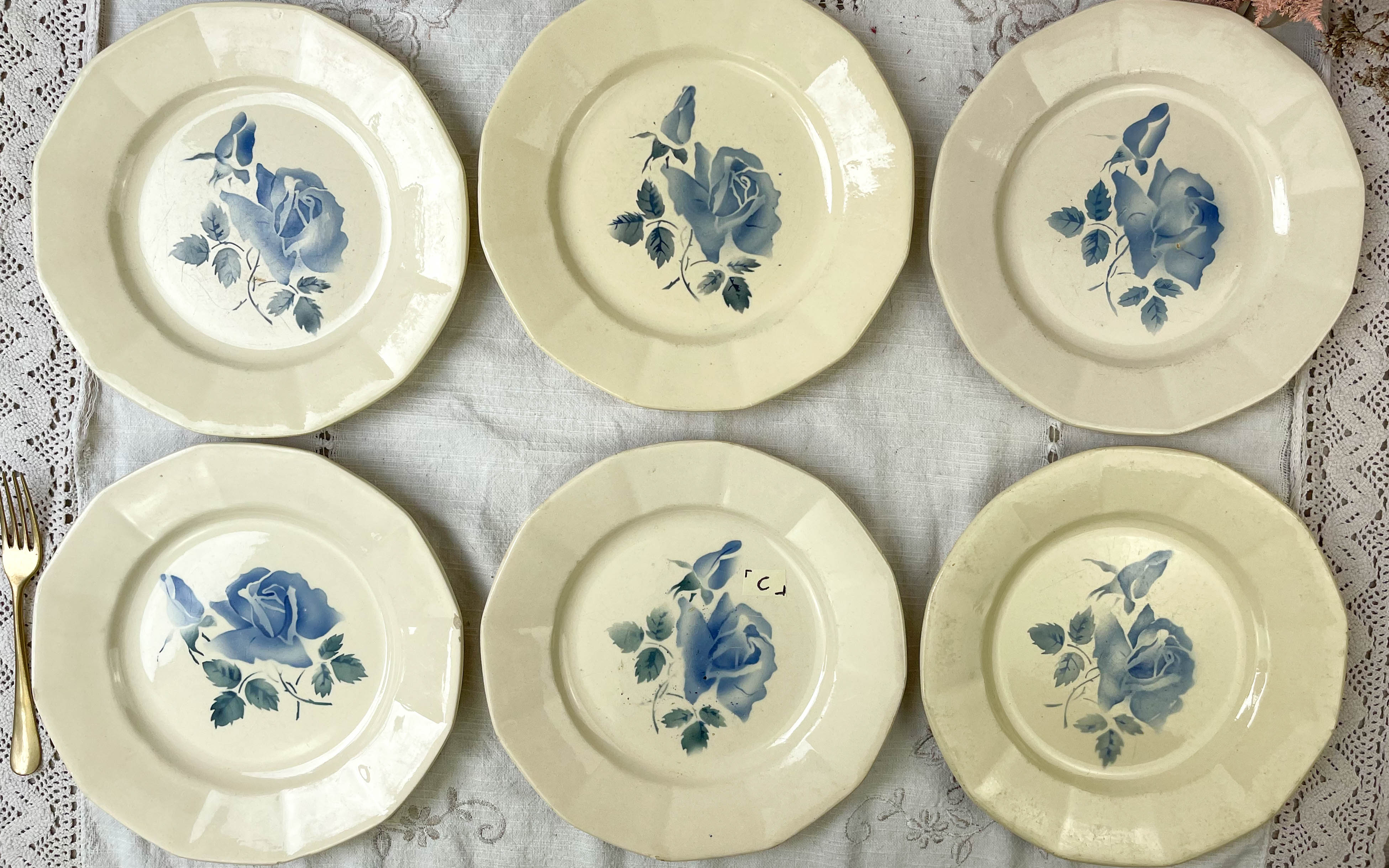 6 flat plates digoin sarreguemines model "cannes"