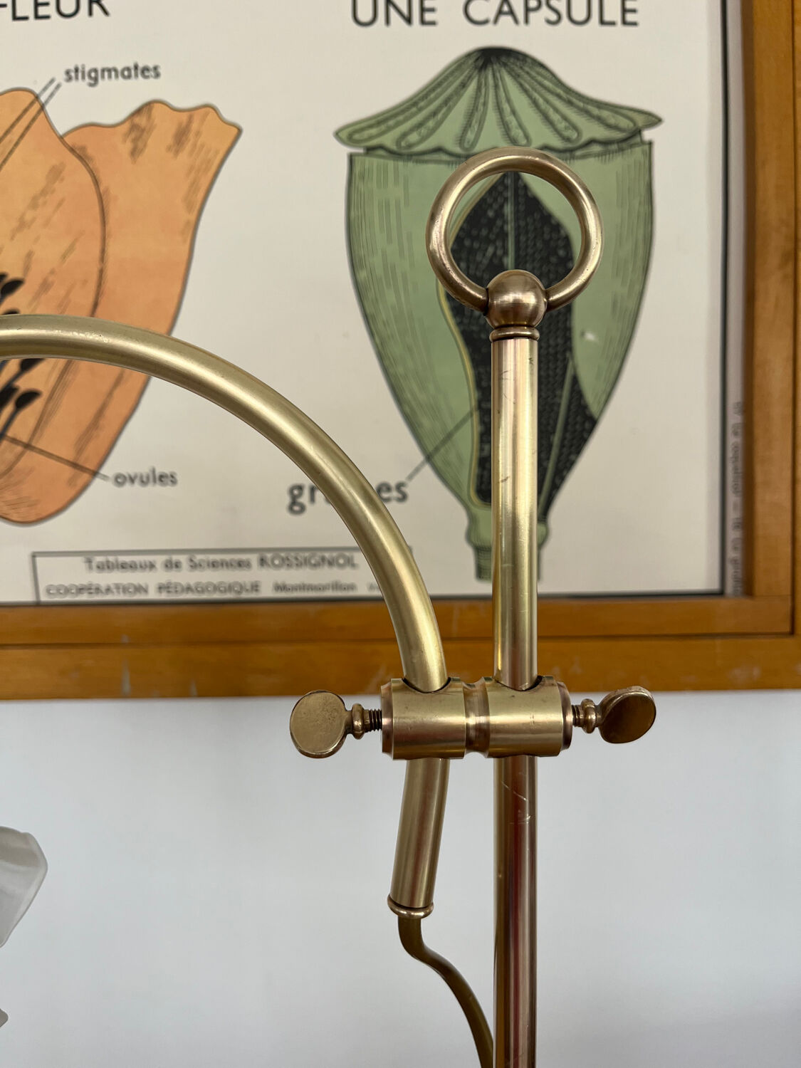 1900 adjustable swan neck lamp