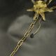 3-light chandelier with swan heads, Empire style - bronze & glass