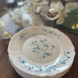 10 assiettes plates arcopal Myosotis
