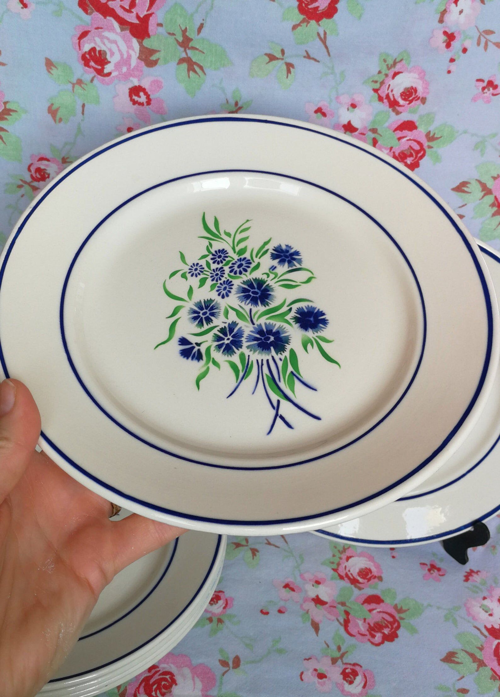 6 plates old Badonviller francine blue and green flowers au pochoir