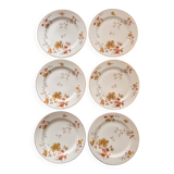 Set of 6 antique plates