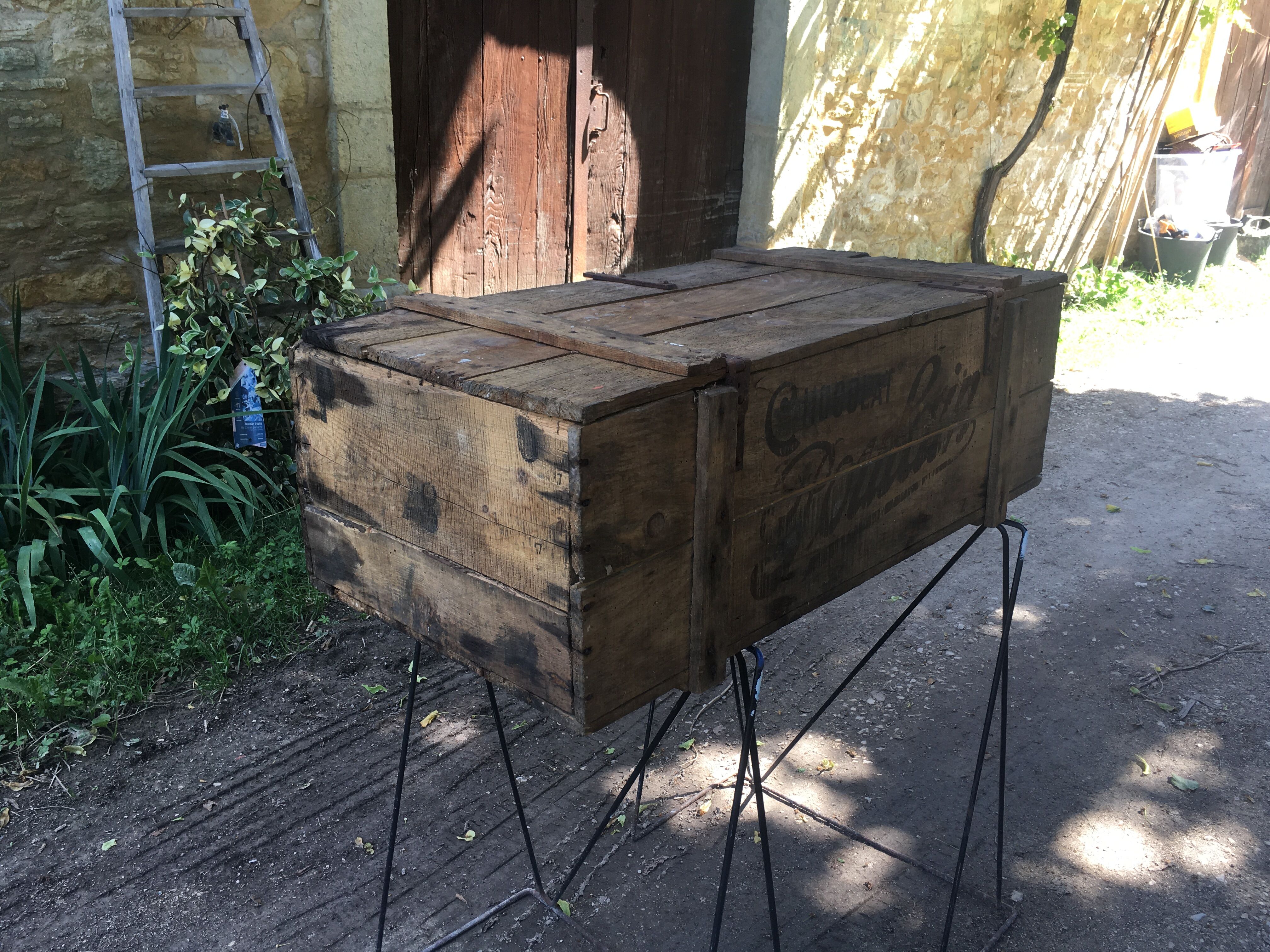Wooden box Chocolate Foal