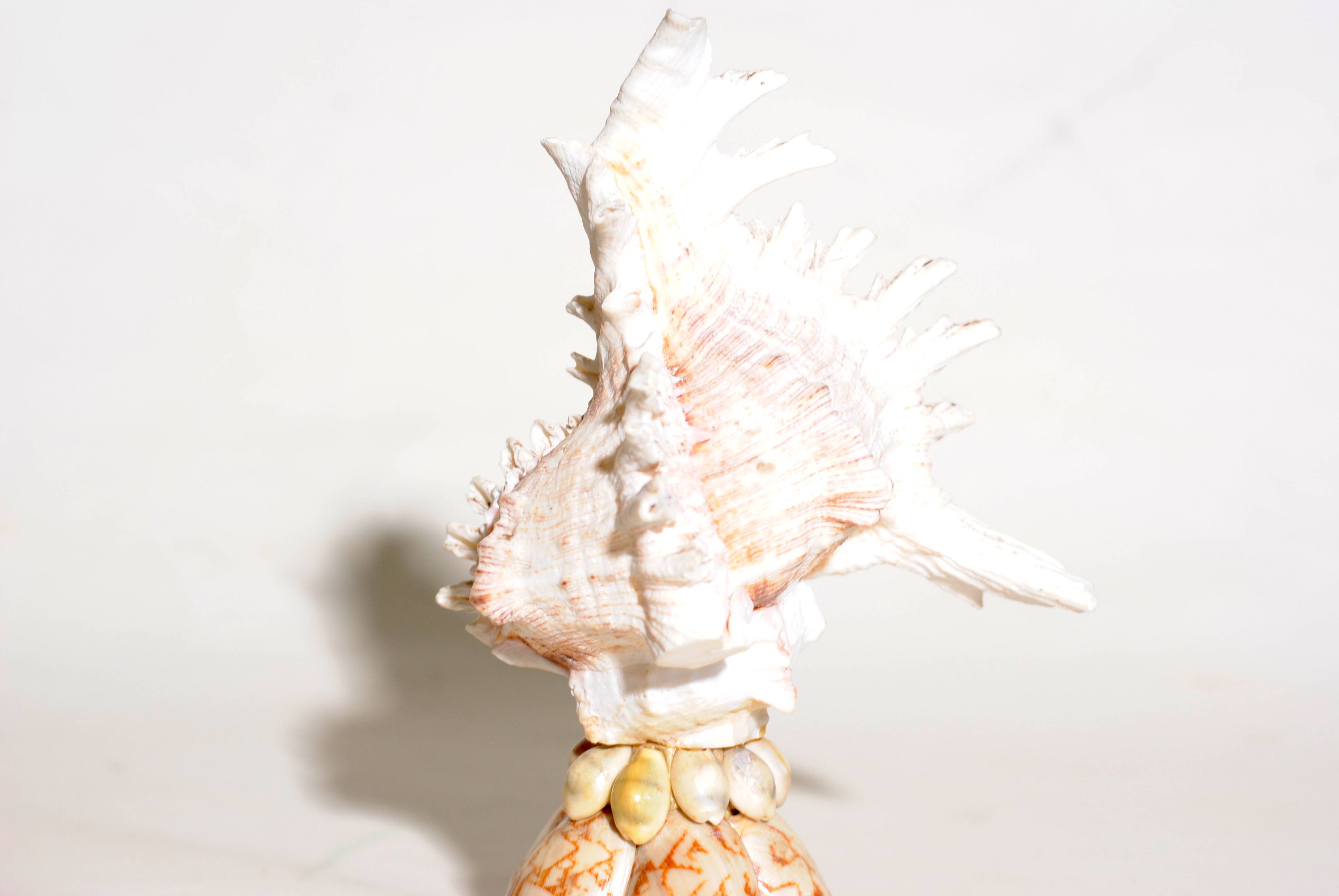 Mid-Century Souvenir Shell Lamp, France 1960s