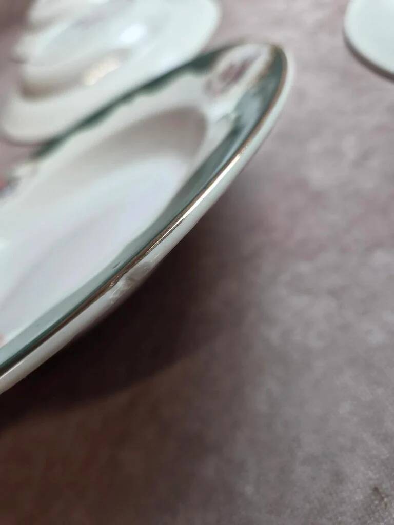 Set of 7 deep plates Digoin Sarreguemines Champagne – Opaque porcelain – Vintage ironstone