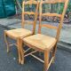 2 solid wood and rush-seated chairs in Louis XV style with shell carving from the 20th century.