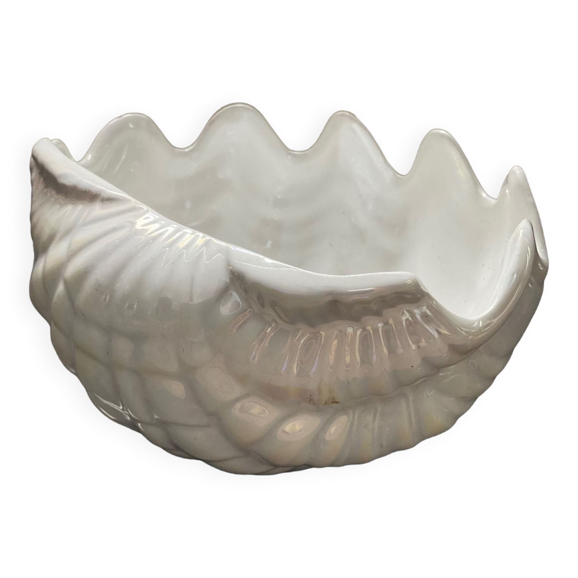 Empty vintage pocket ceramic shell