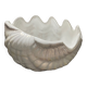 Empty vintage pocket ceramic shell