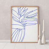 Botanical illustration print, A3