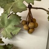 Applies doule bunches of grapes