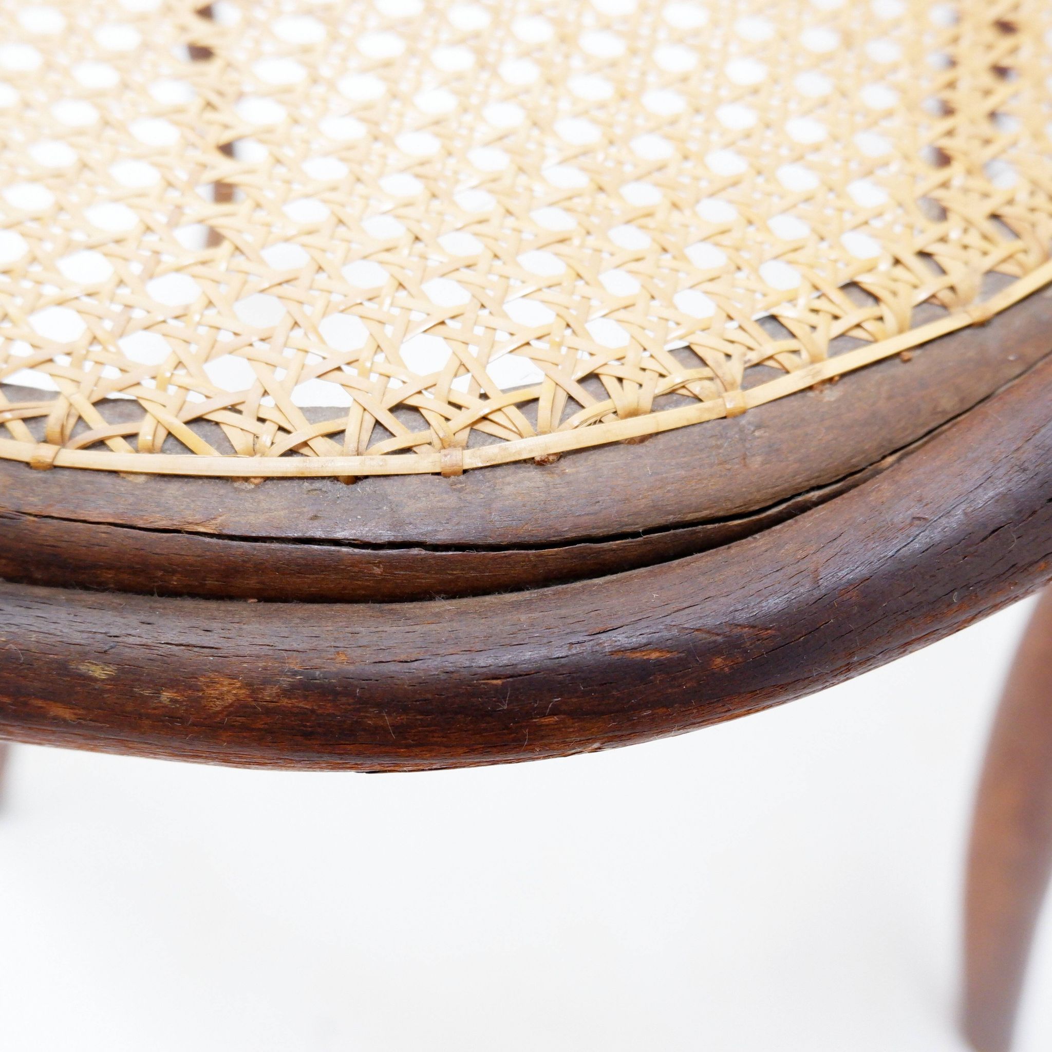 Chaise ou fauteuil en bois courbé style Thonet - années 1950