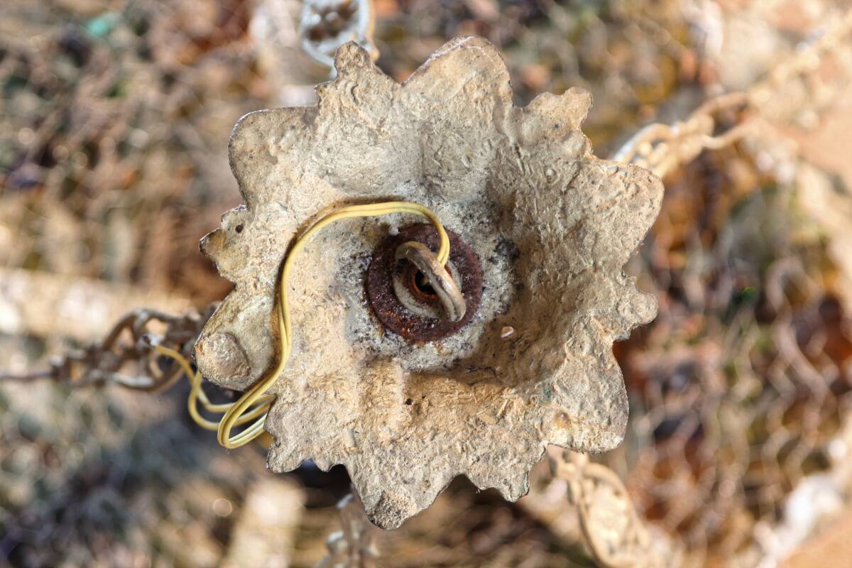 Murano chandelier in bronze, fruit clusters, glass paste