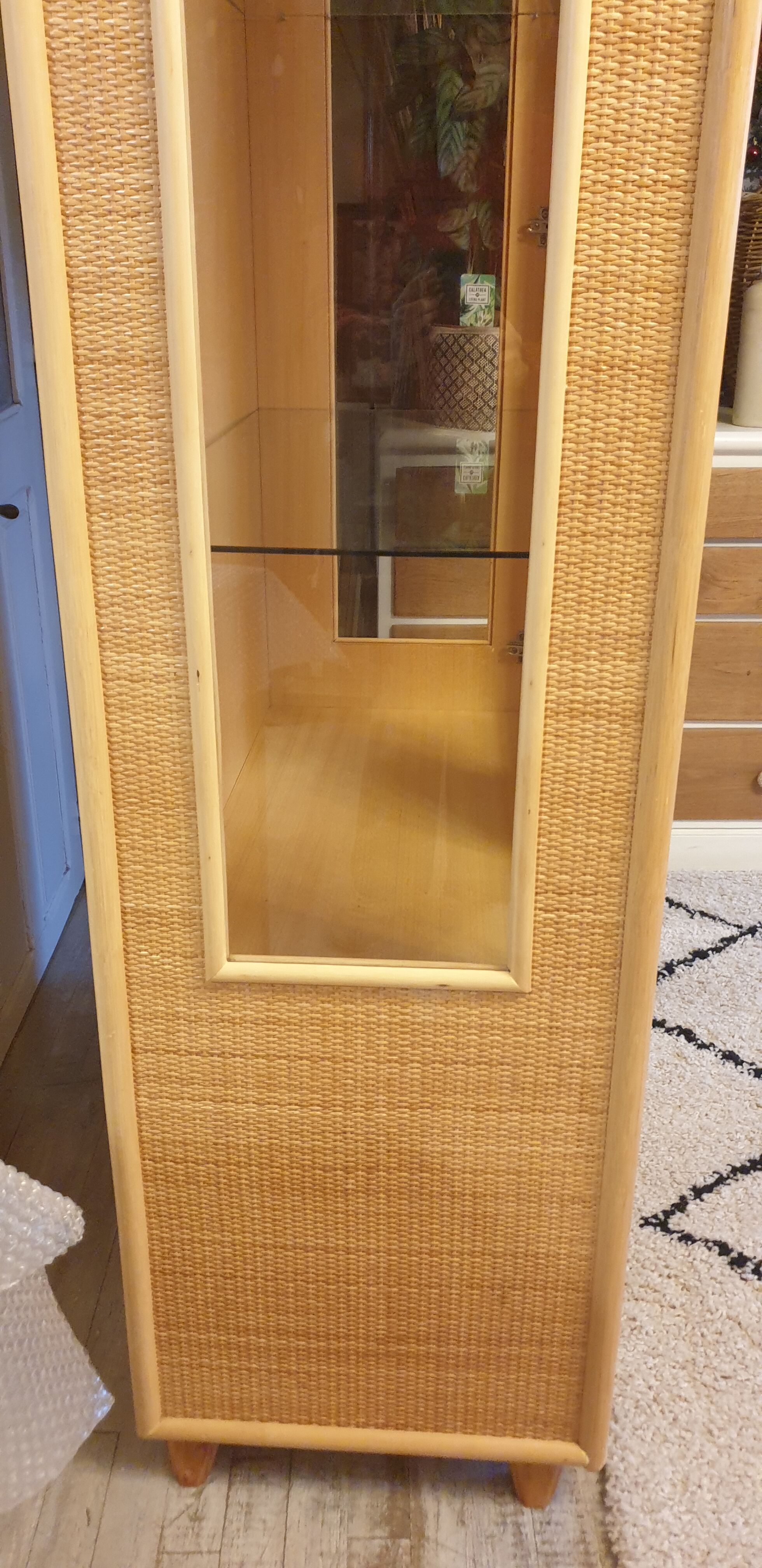 Rattan glass cabinet