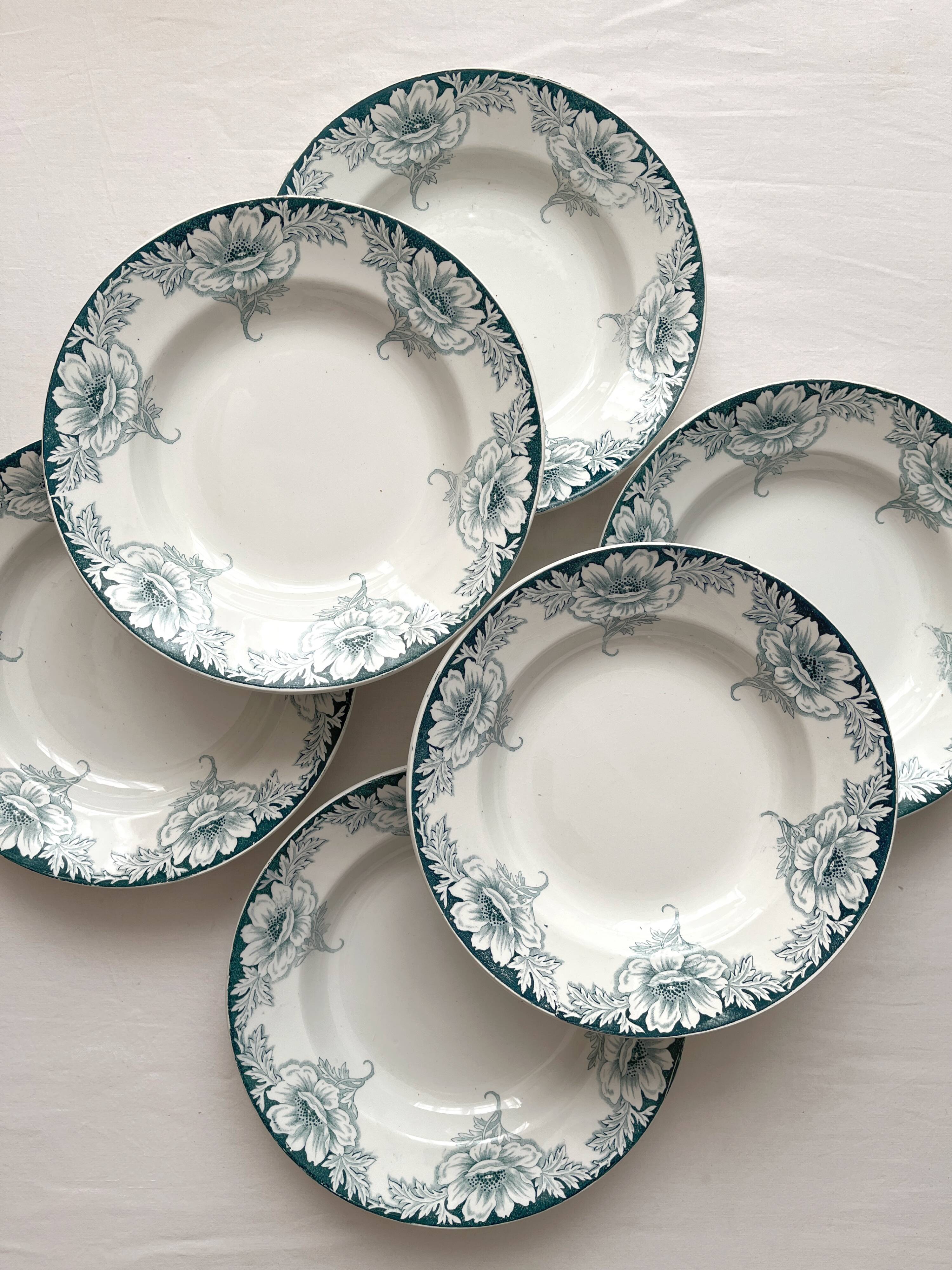 6 Suzanne, Saint Amand and Hamage ironstone soup plates