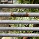 Lot de 2 fauteuils en fer forgé Saint Sauveur Arras