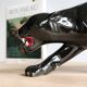 Art Deco ceramic black panther, 60cm sculpture