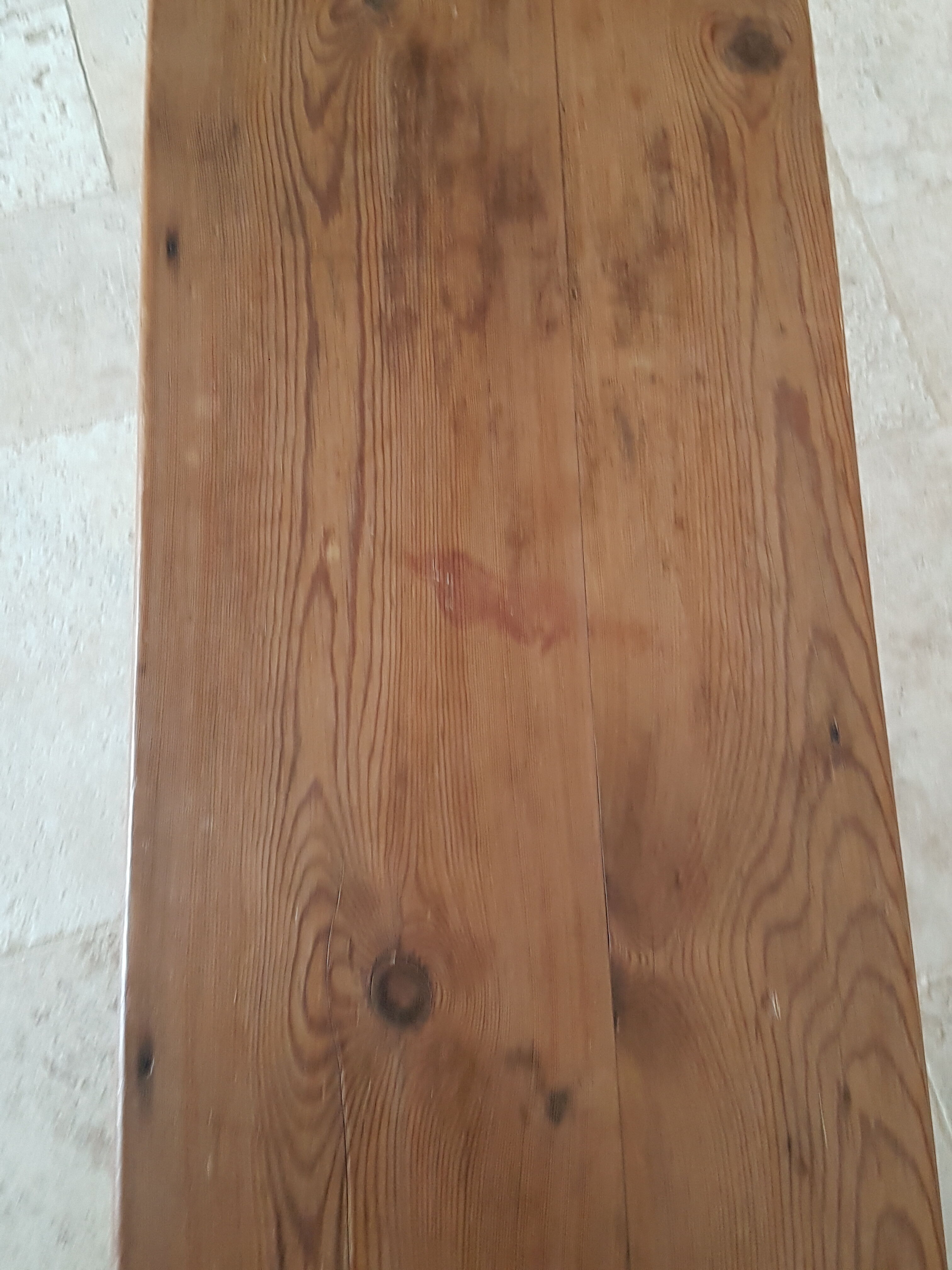 Church bench in fir tree with armrests