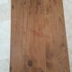 Church bench in fir tree with armrests