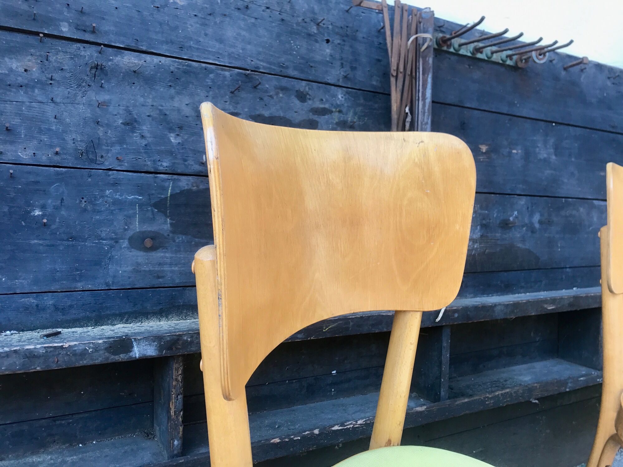 Paire de chaises Baumann en bois et skaÏ jaune vintage