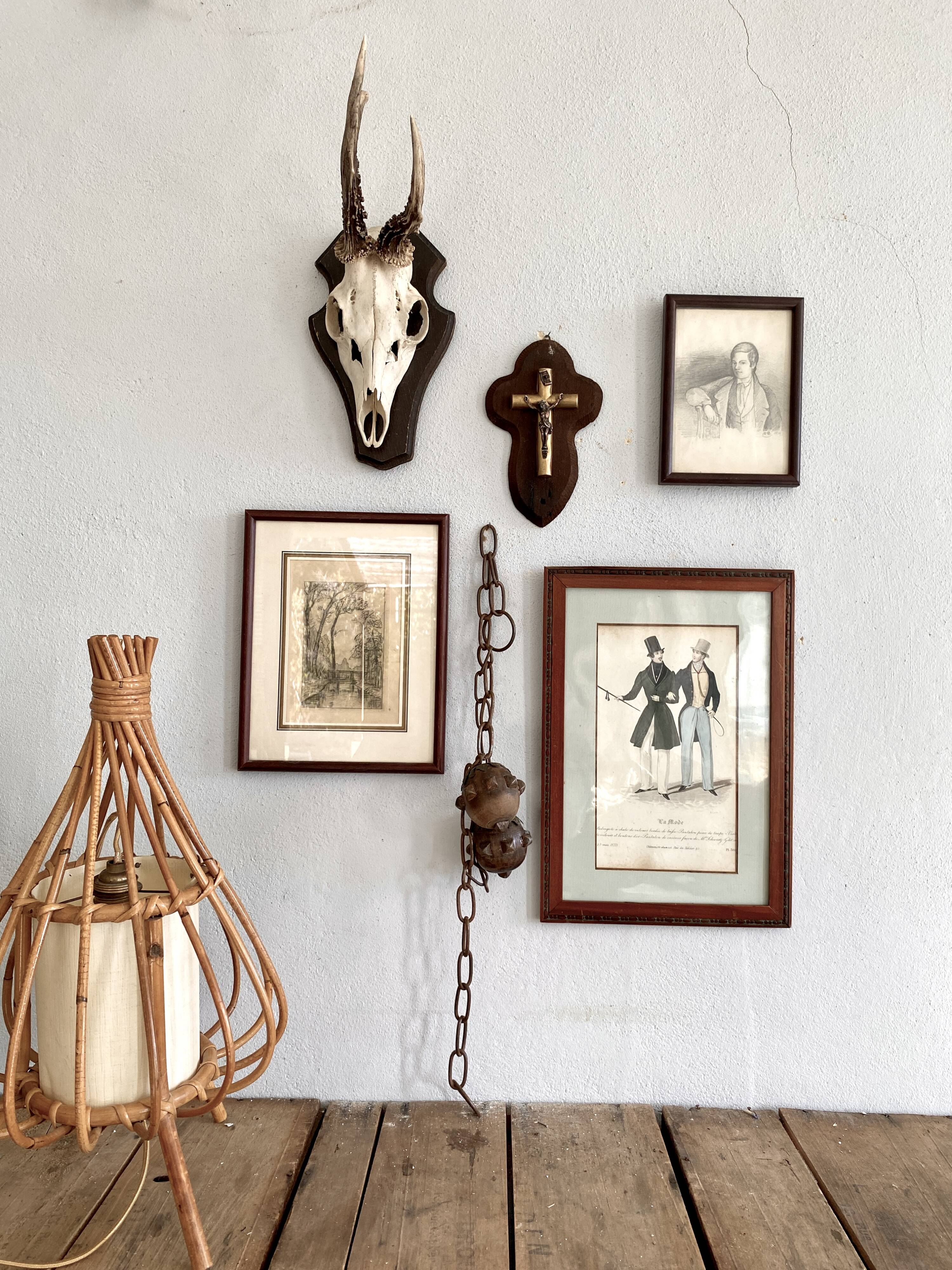 Horns on base, cabinet of curiosities