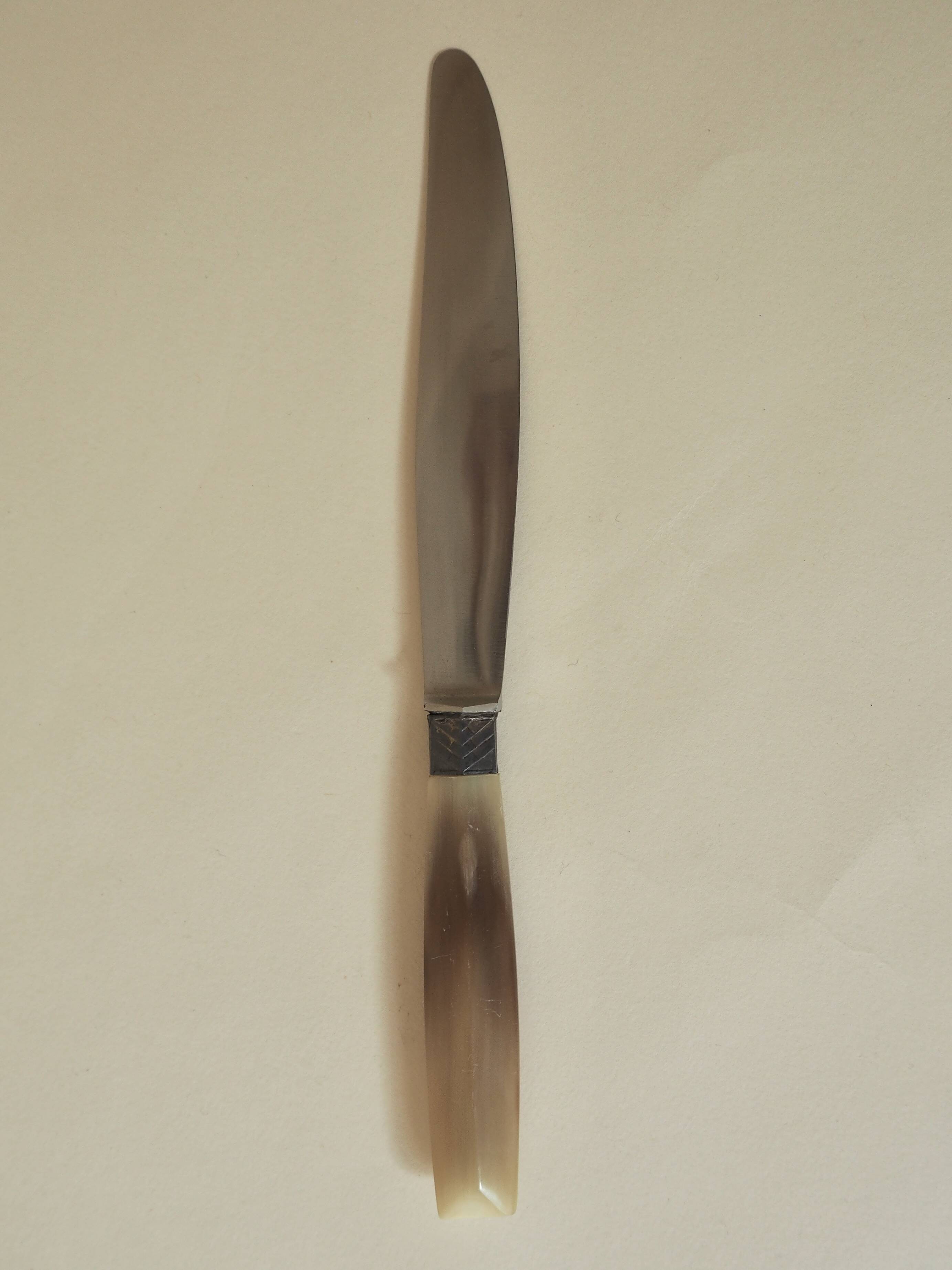 Set of 12 dessert knives Apollonox