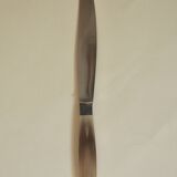 Set of 12 dessert knives Apollonox