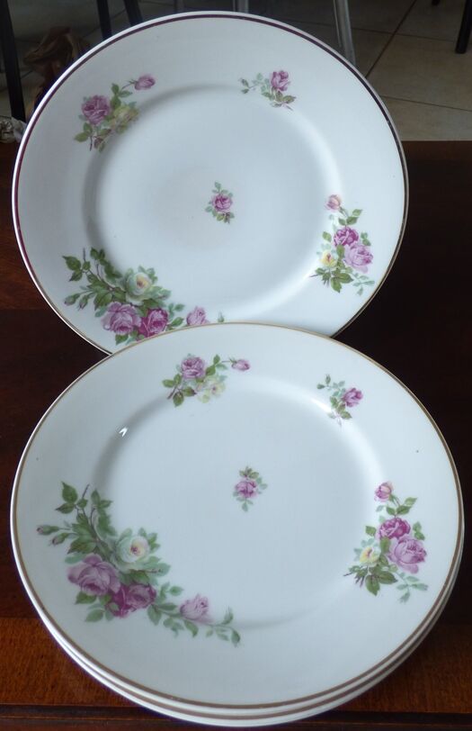 12 Plates pattern flowers in Limoges porcelain
