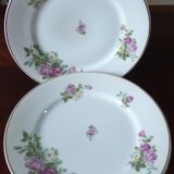12 Plates pattern flowers in Limoges porcelain