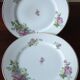 12 Plates pattern flowers in Limoges porcelain