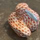 Herend rabbit
